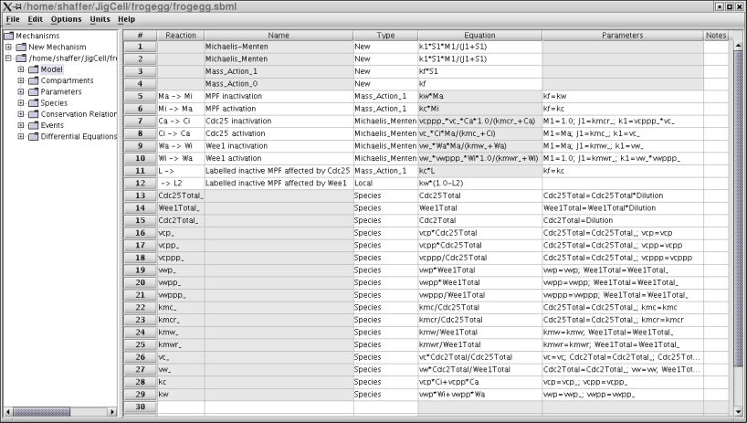 Frog egg extract equations